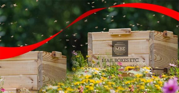 Mail Boxes Etc. sceglie 3Bee per un progetto misurabile a tutela della biodiversità con la tecnologia